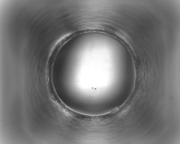 X0000066520979200603171214