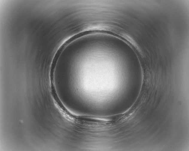 X0000066520980200603171214