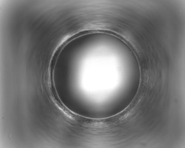 X0000066520982200603171213