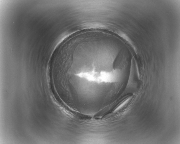 X0000066520983200603171213