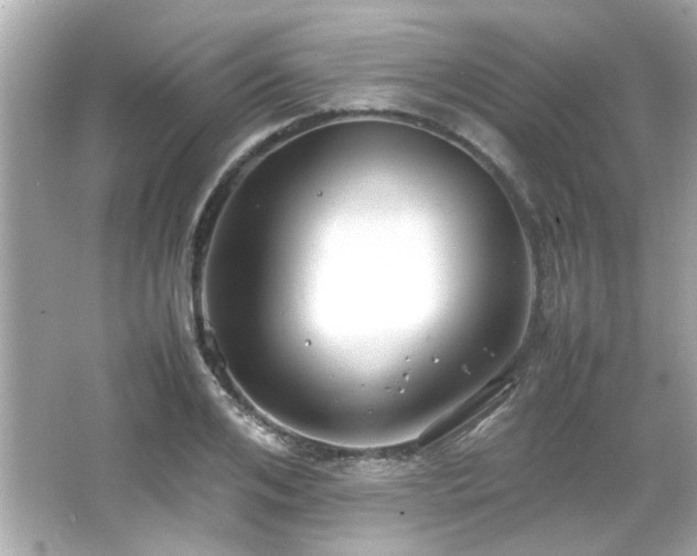 X0000066520984200603171213