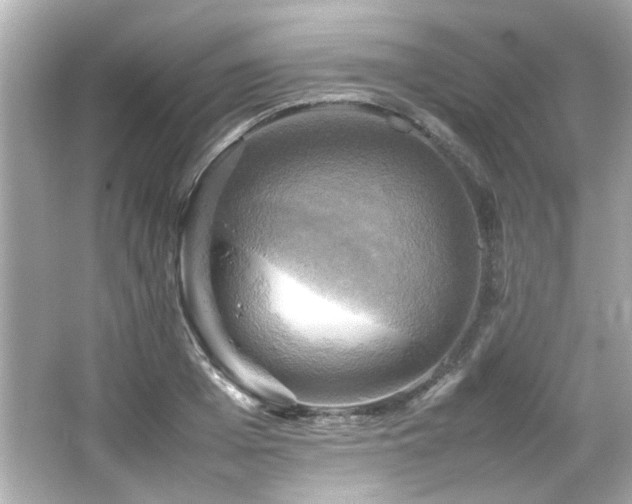 X0000066520985200603171213