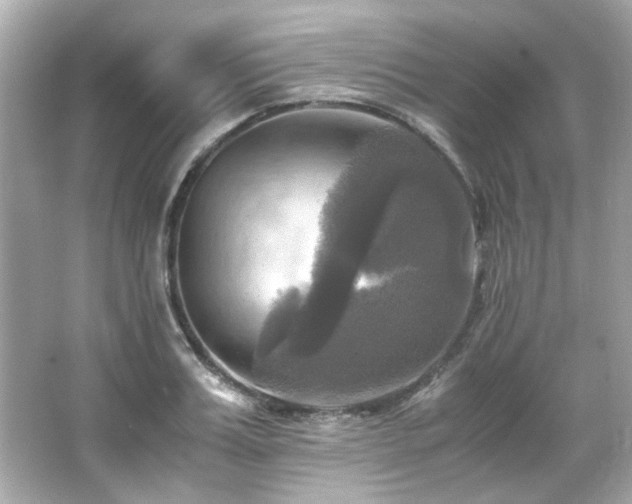 X0000066520987200603171213