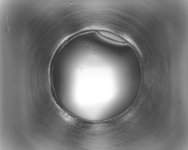 X0000066520988200603171213