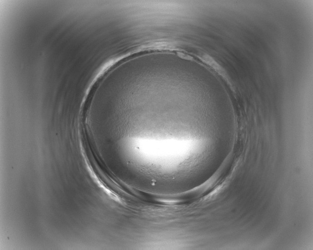 X0000066520989200603171213