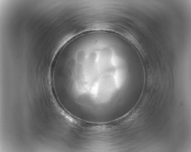 X0000066520990200603171213