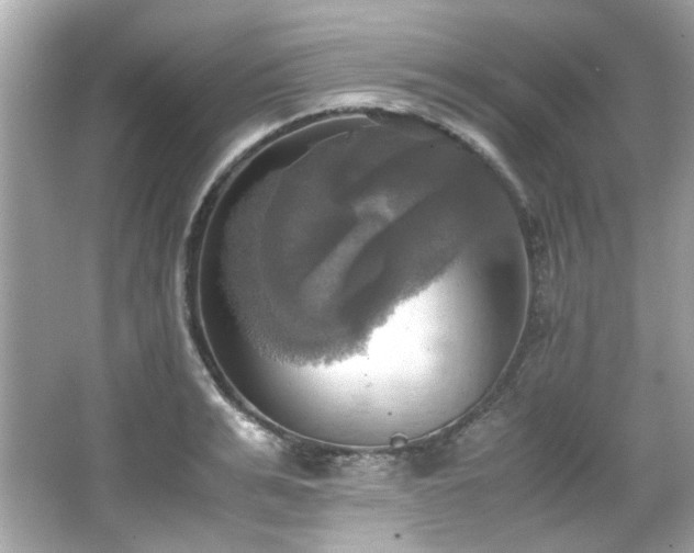 X0000066520991200603171213