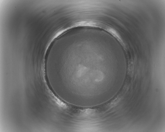 X0000066520992200603171213