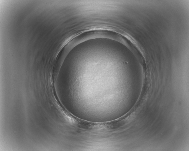 X0000066520993200603171213