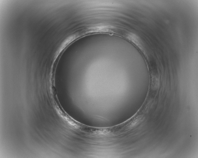 X0000066520994200603171213