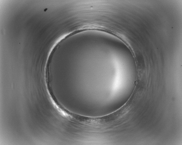 X0000066520995200603171213