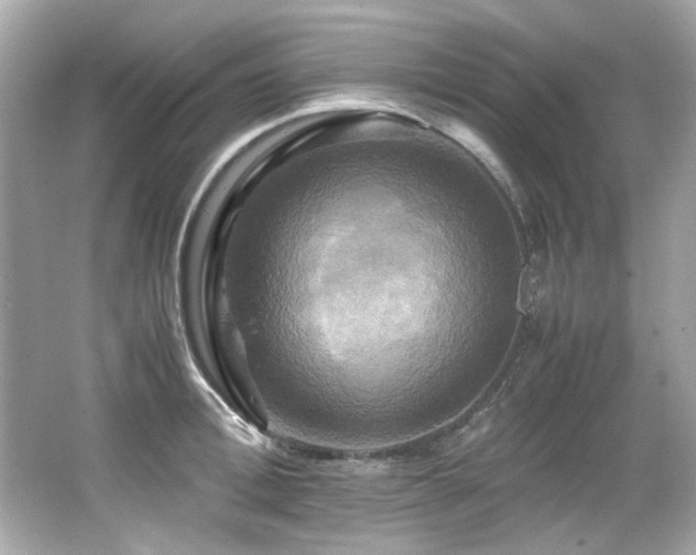 X0000066520996200603171213