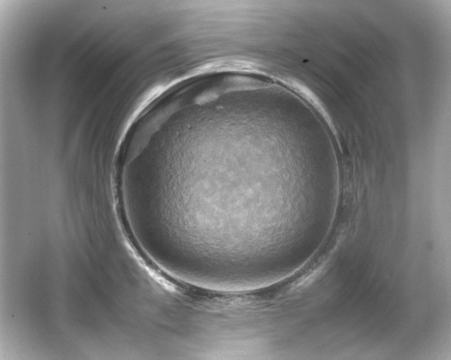 X0000066520997200603171213