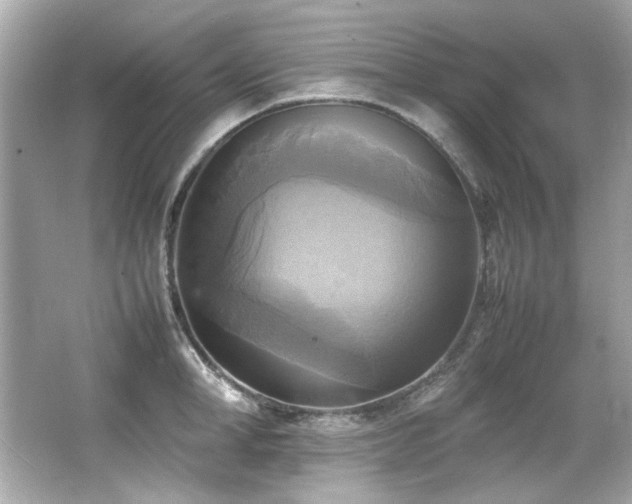 X0000066520998200603171213