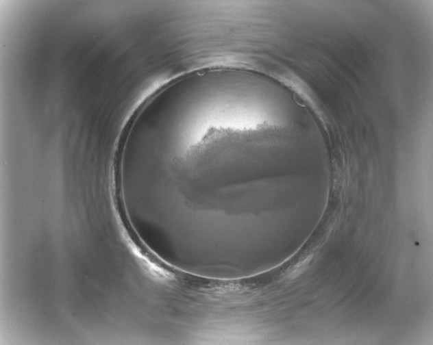 X0000066520999200603171213