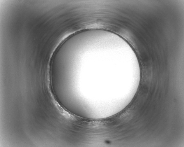 X0000066521000200603171213