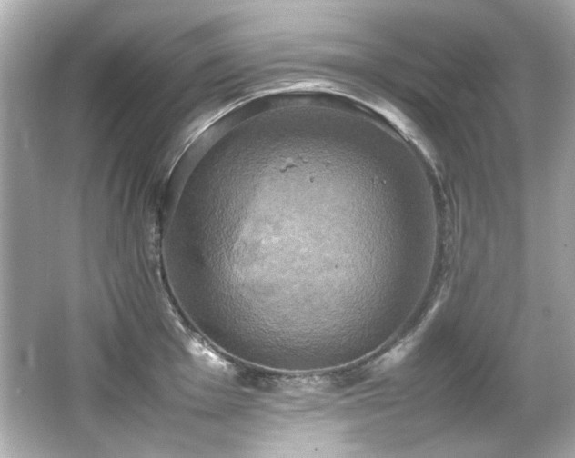 X0000066521001200603171213