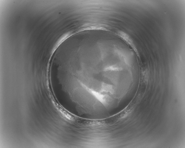 X0000066521002200603171213