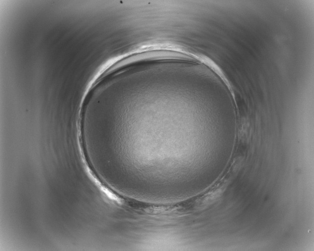 X0000066521005200603171213