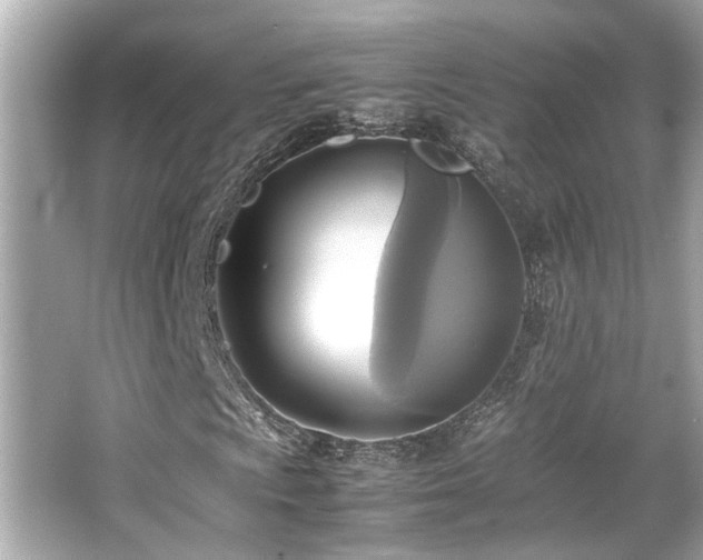 X0000066521009200603171212