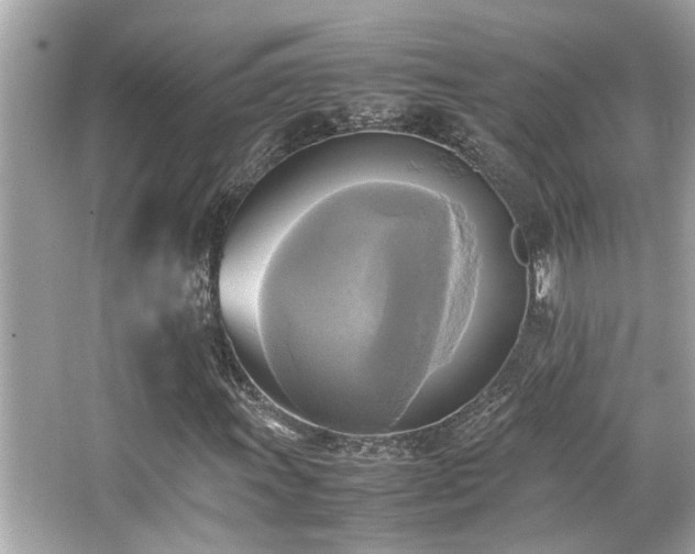 X0000066521011200603171212