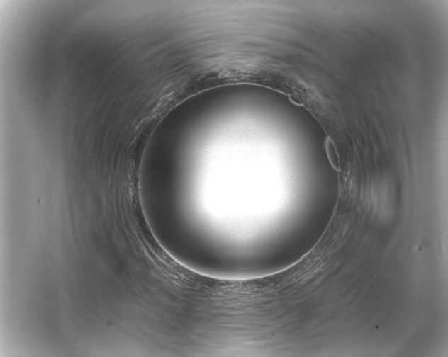 X0000066521012200603171212