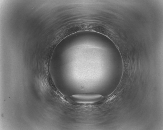 X0000066521013200603171212