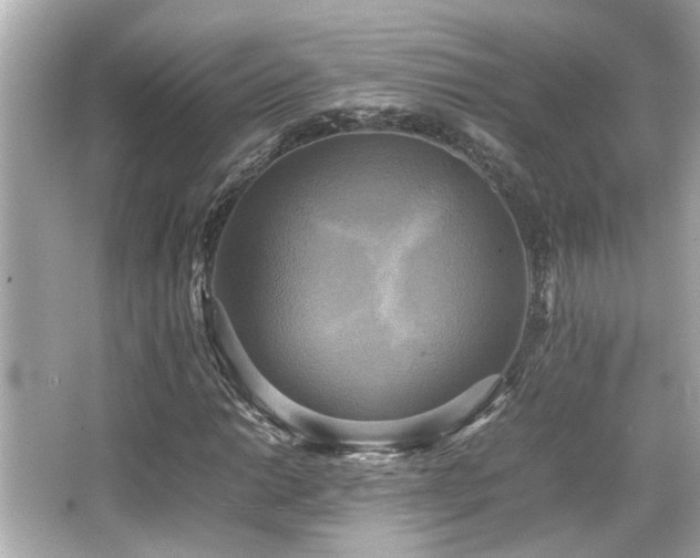 X0000066521014200603171212