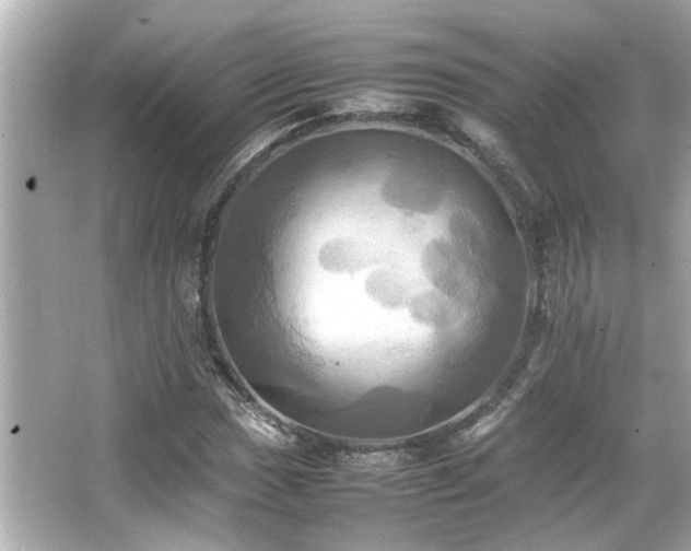 X0000066521017200603171212