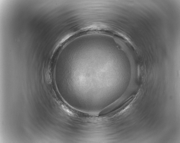 X0000066521018200603171212