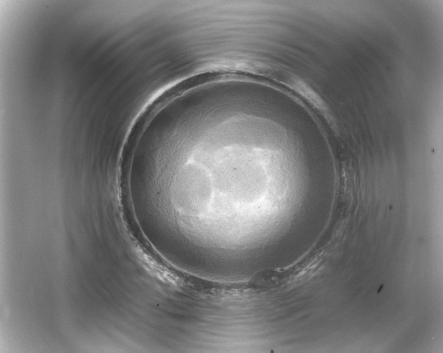 X0000066521020200603171212