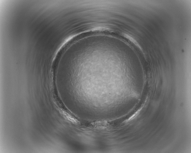 X0000066521021200603171212