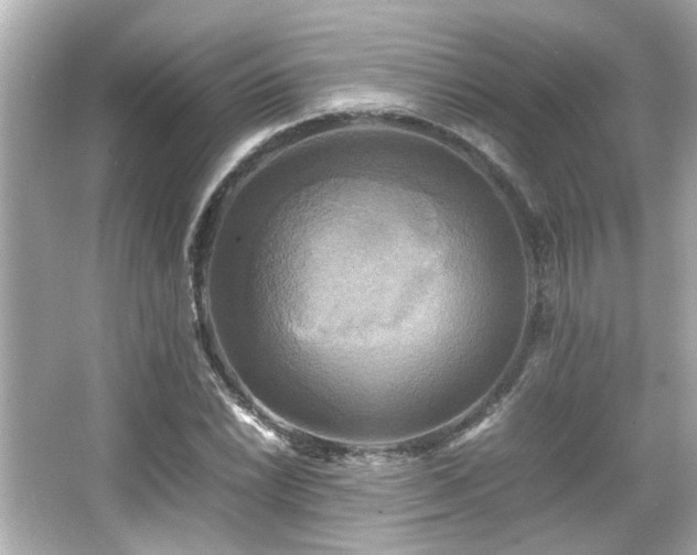 X0000066521022200603171212