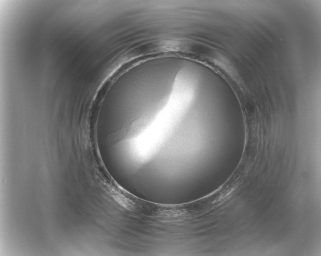 X0000066521023200603171212