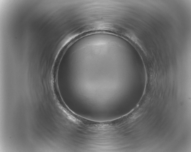 X0000066521024200603171212