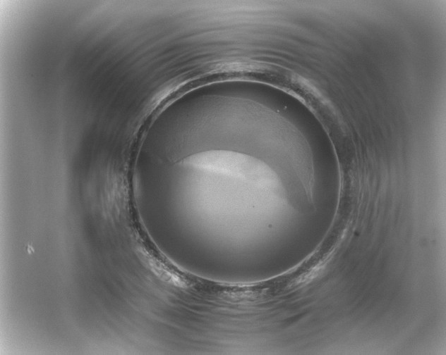 X0000066521025200603171212