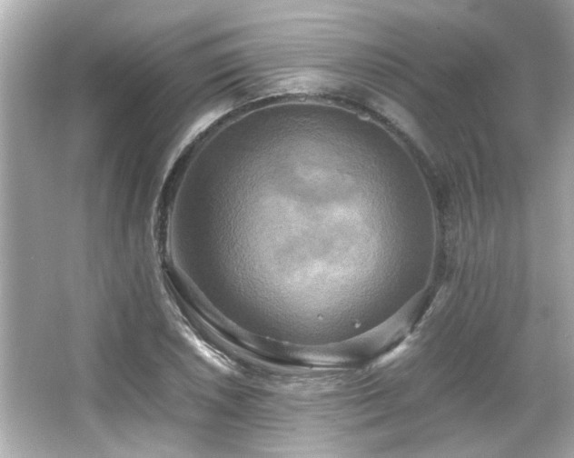 X0000066521026200603171213