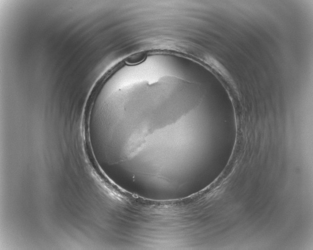 X0000066521028200603171213