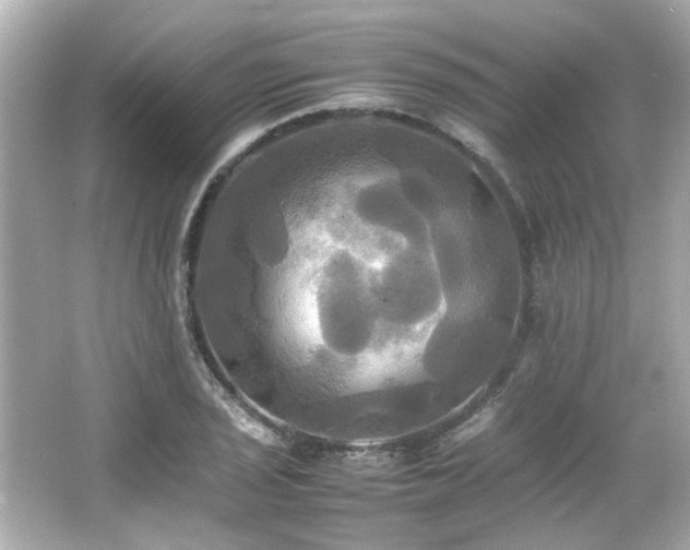 X0000066521029200603171213