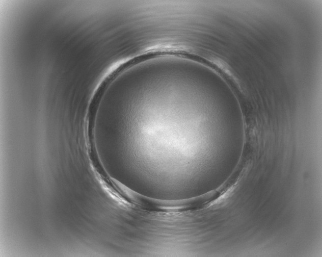 X0000066521030200603171213