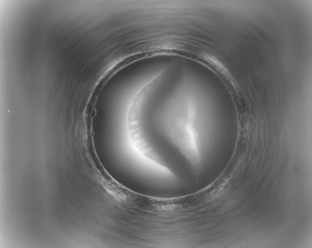 X0000066521031200603171213