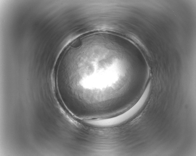 X0000066521032200603171213