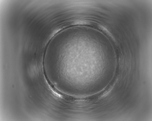 X0000066521033200603171213