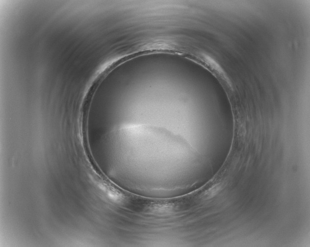 X0000066521035200603171213