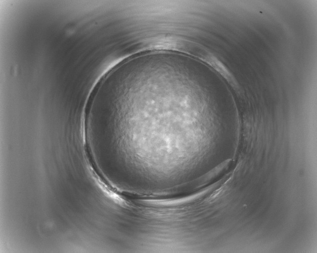 X0000066521036200603171213