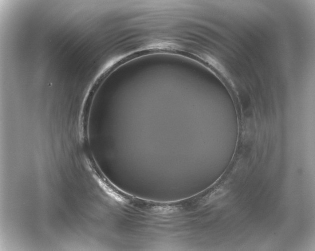 X0000066521037200603171213