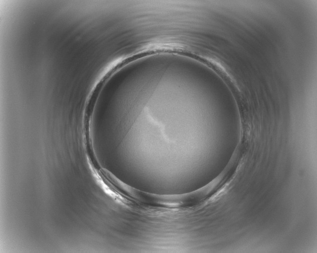 X0000066521038200603171213