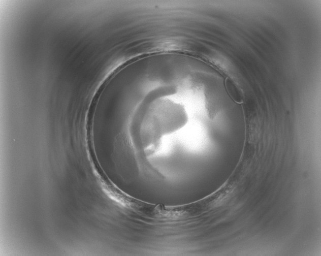 X0000066521039200603171213