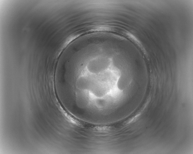 X0000066521041200603171213