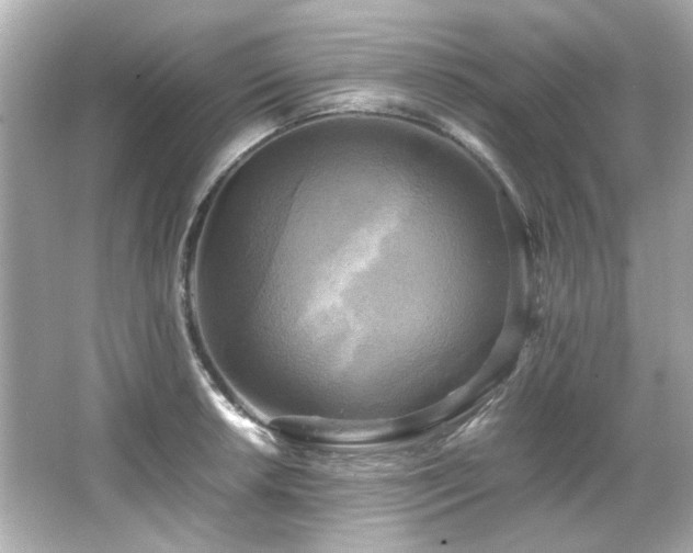 X0000066521042200603171213